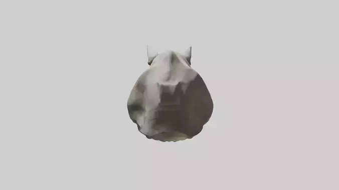 Rhino Skull Low-poly 3D model