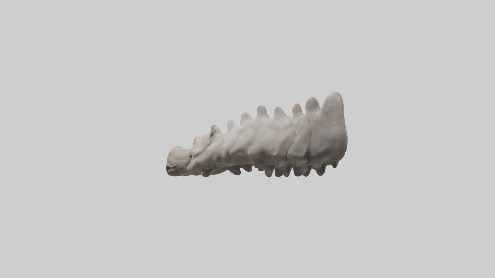 Rhino Spine Low-poly 3D model_1