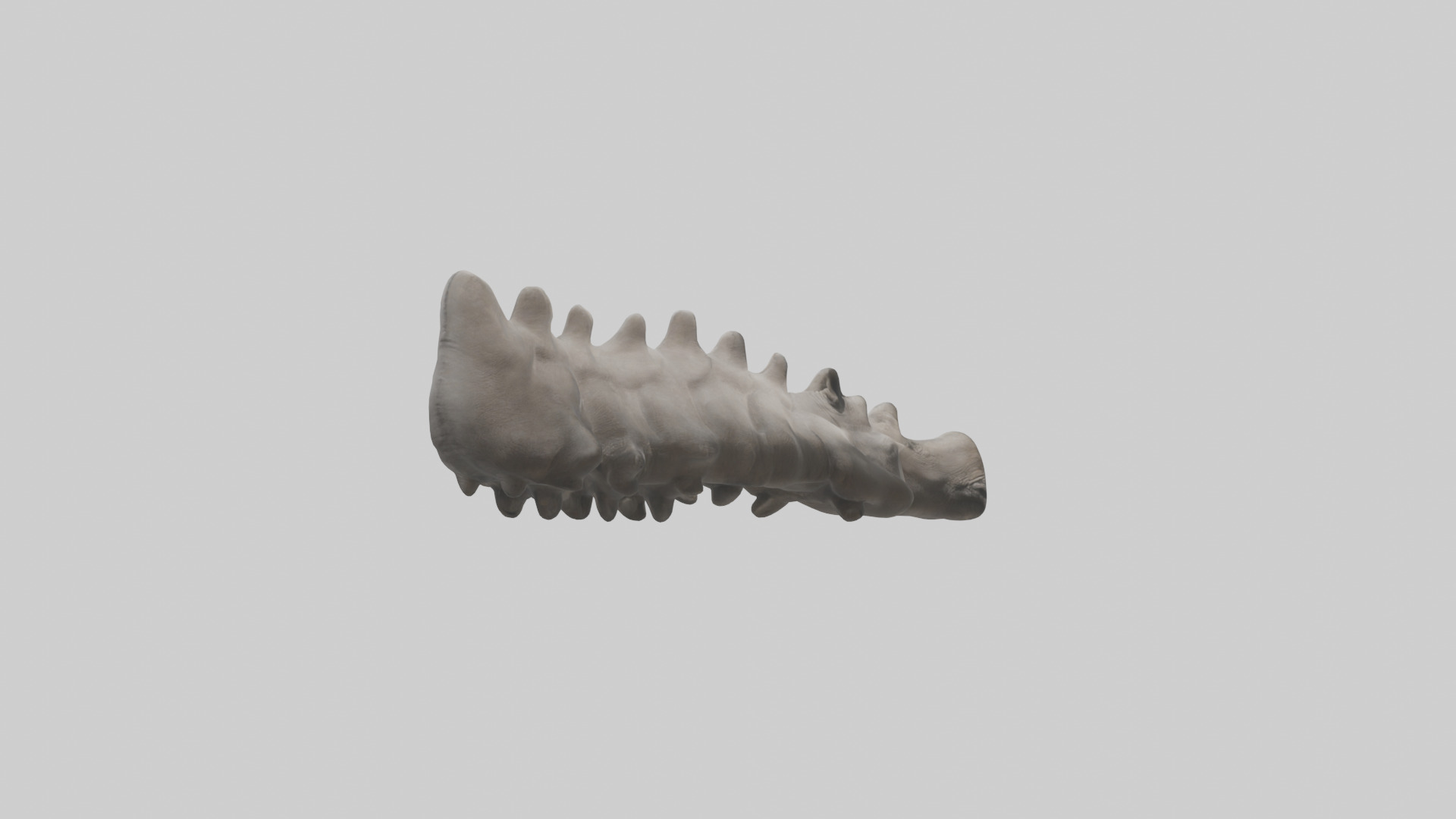 Rhino Spine Low-poly 3D model_2