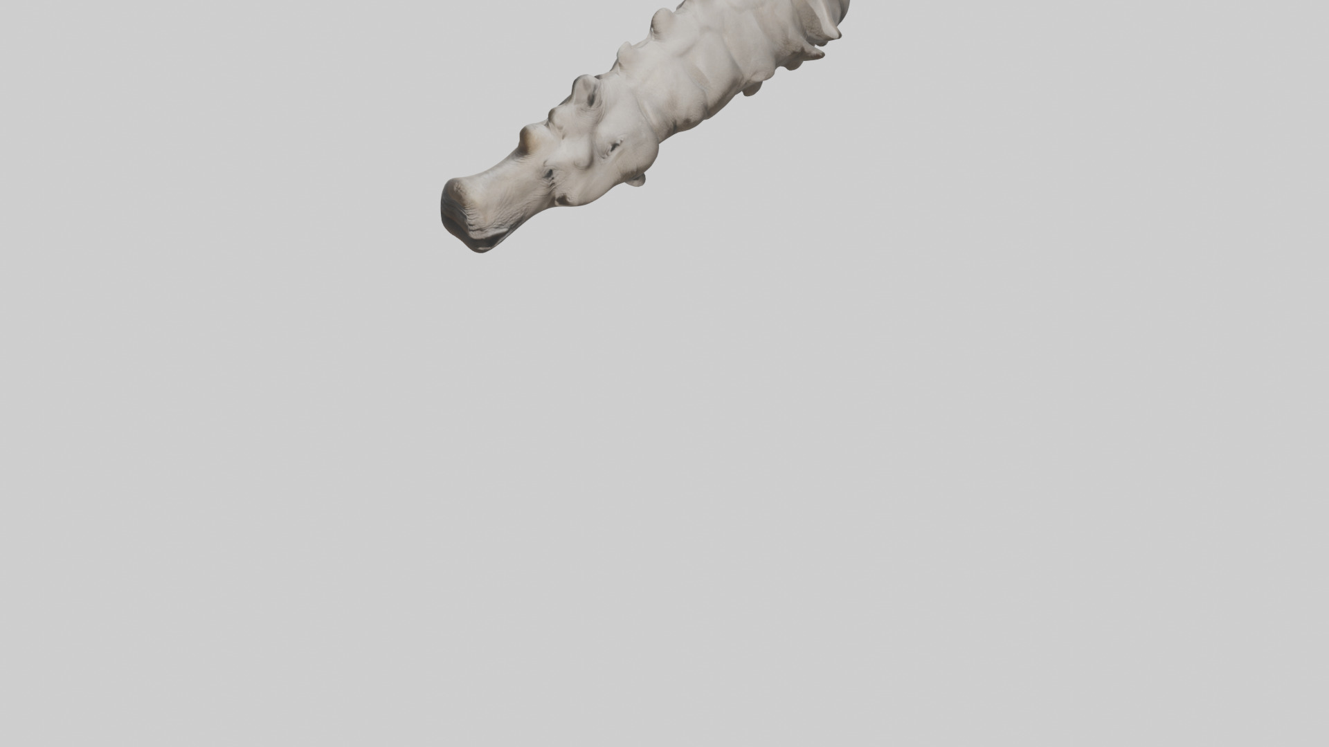 Rhino Spine Low-poly 3D model_5