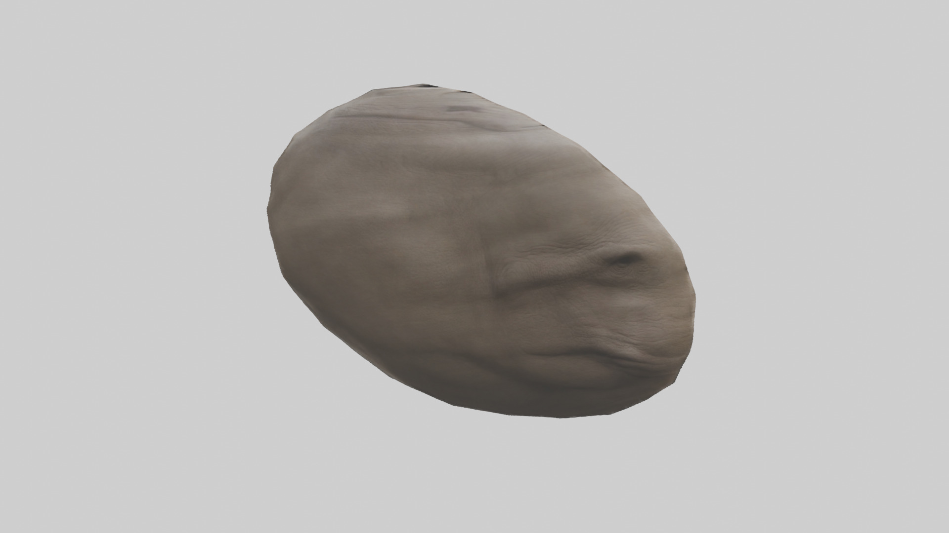 Rhino Stomach Low-poly 3D model_11