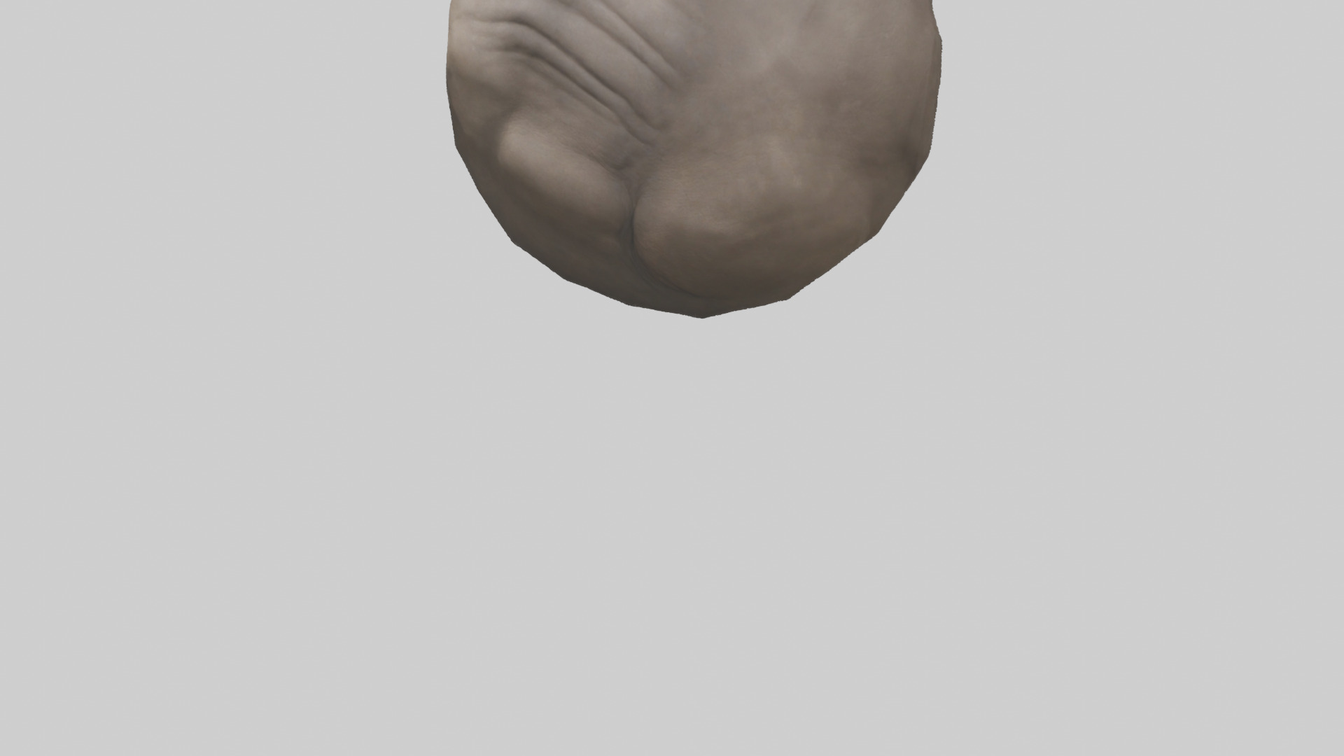 Rhino Stomach Low-poly 3D model_3