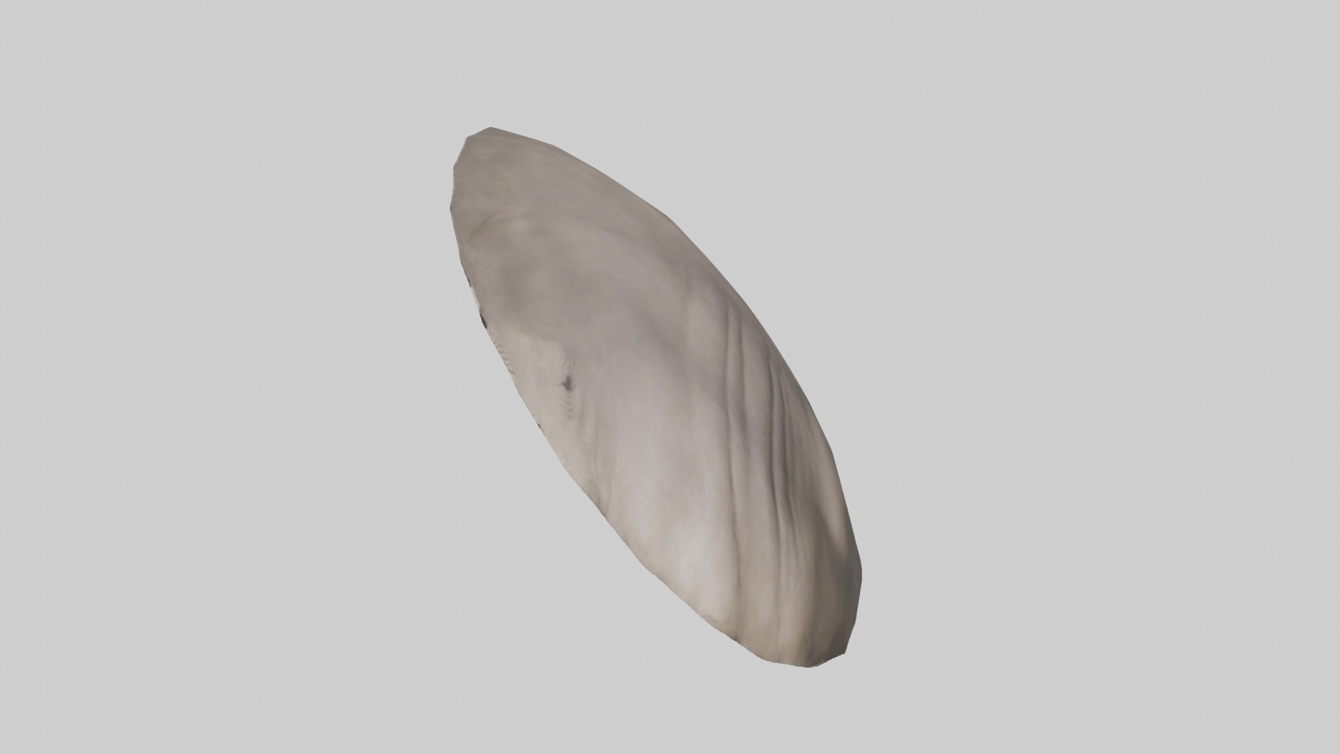 Rhino Stomach Low-poly 3D model_16