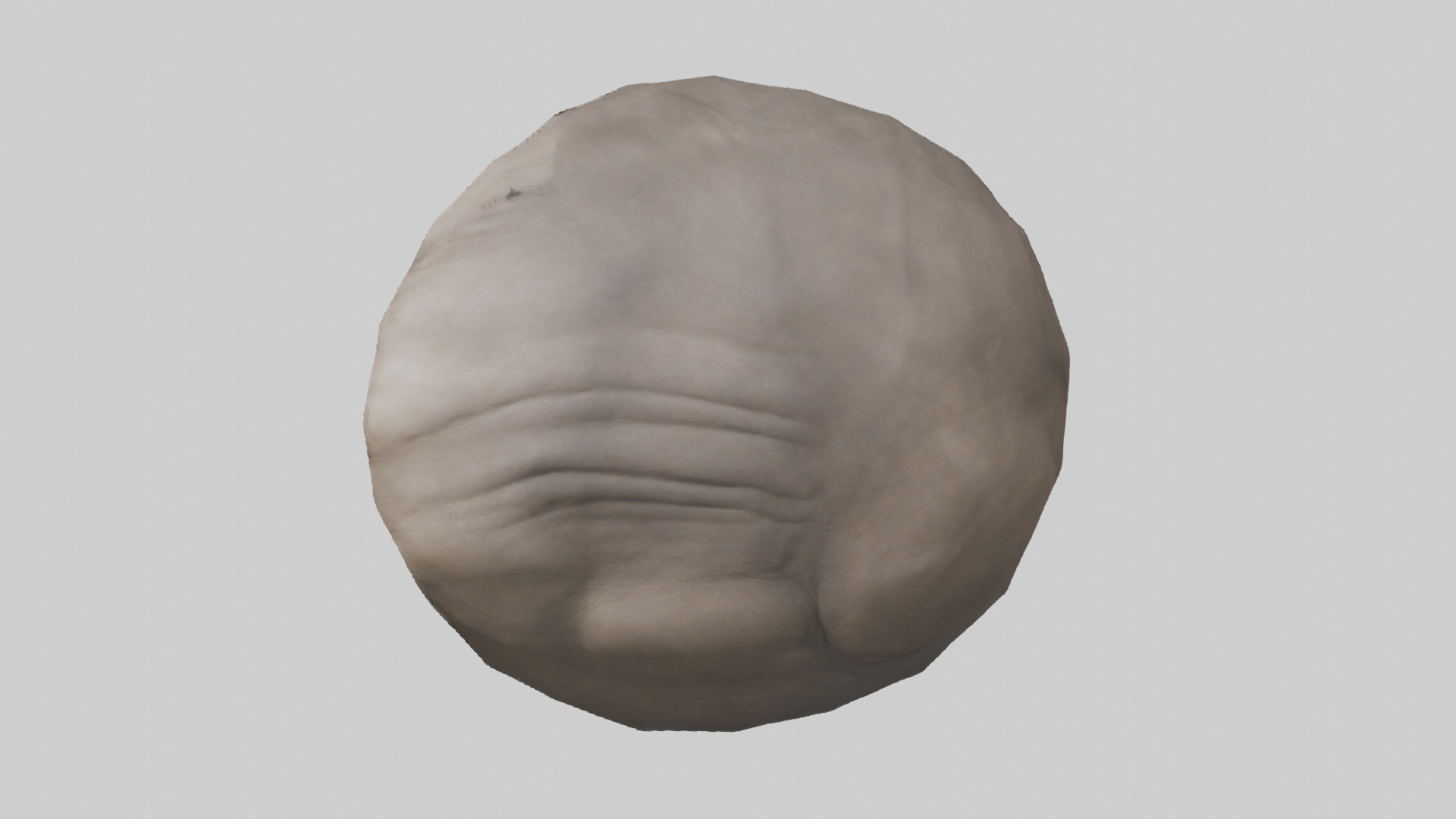 Rhino Stomach Low-poly 3D model_17