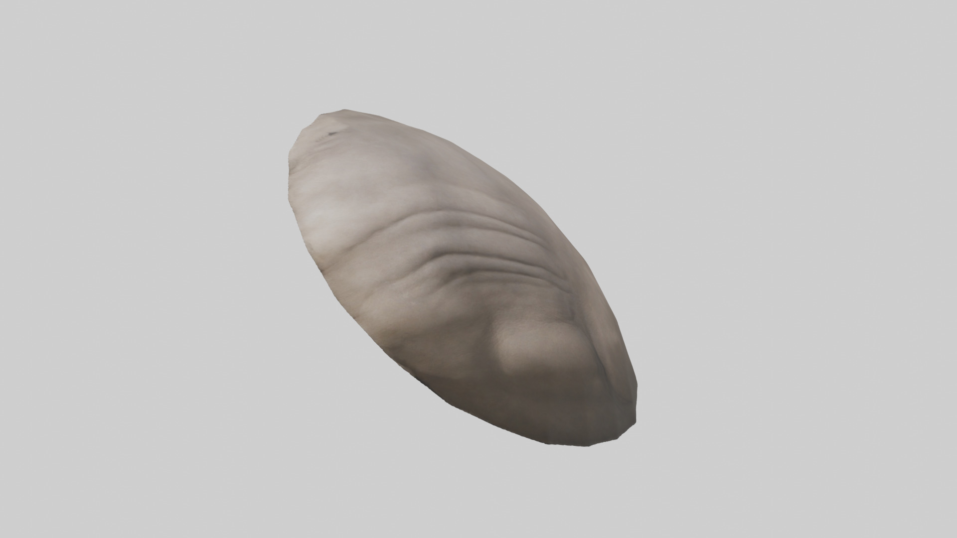 Rhino Stomach Low-poly 3D model_10