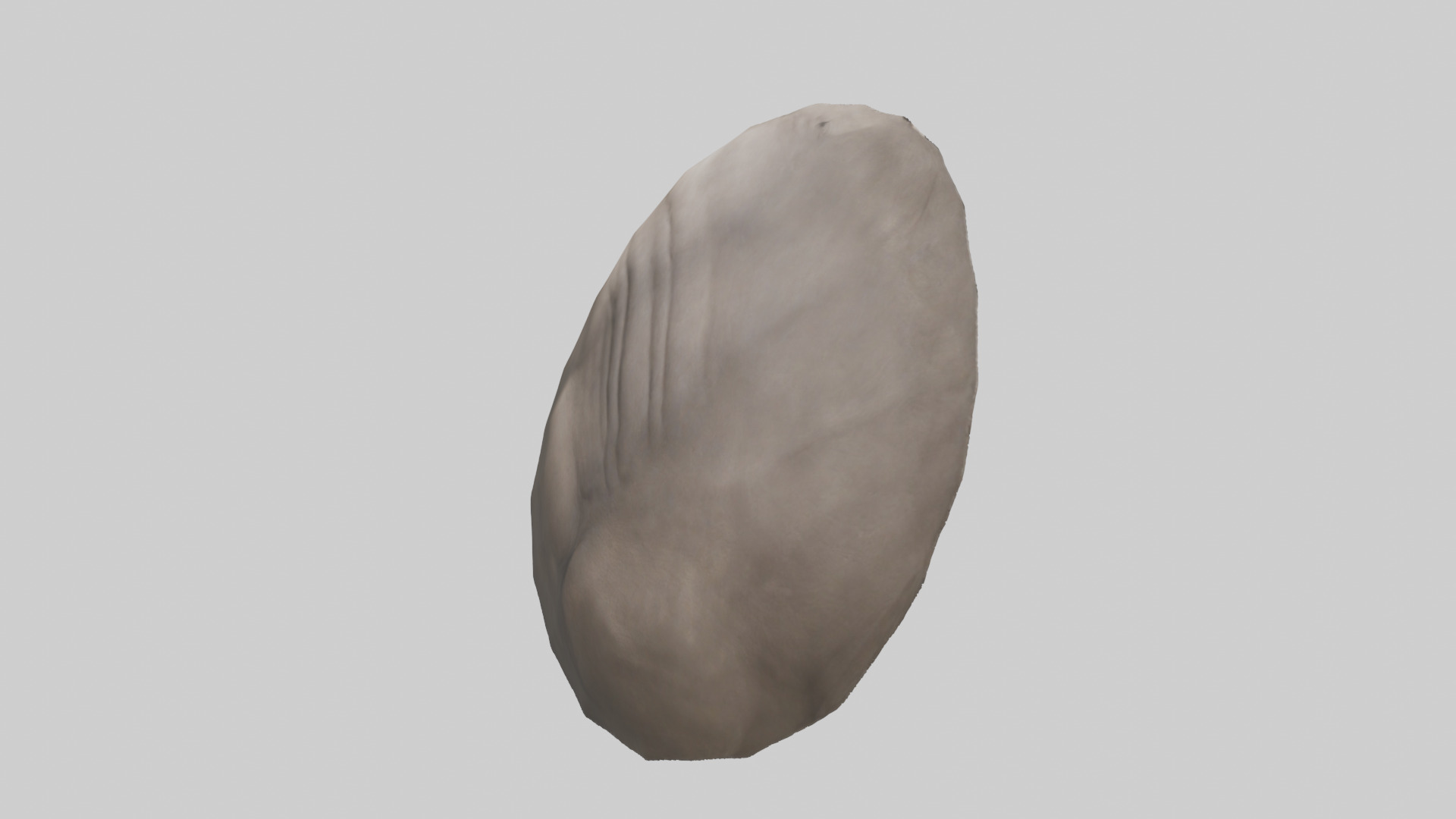 Rhino Stomach Low-poly 3D model_15