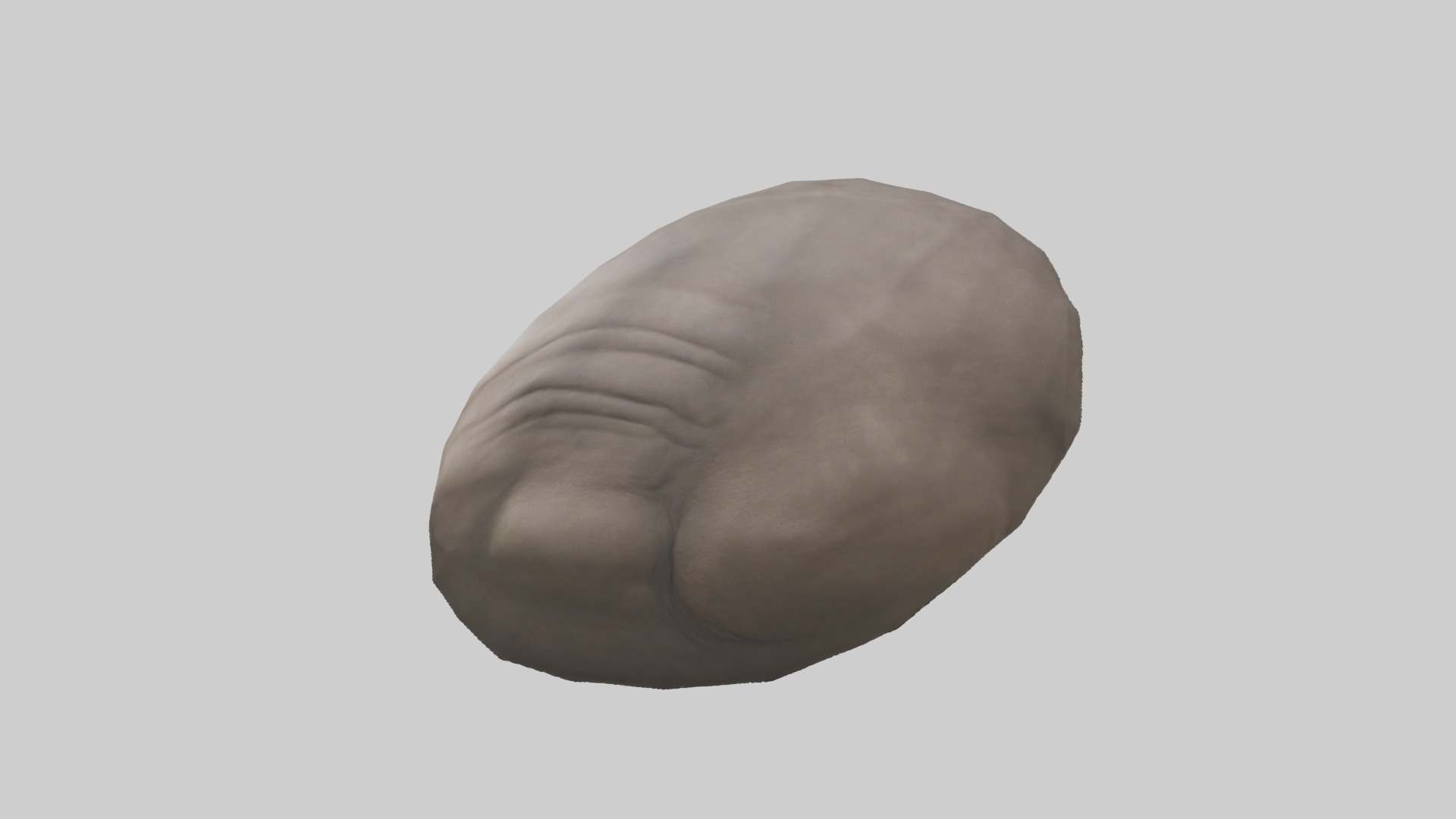 Rhino Stomach Low-poly 3D model_1