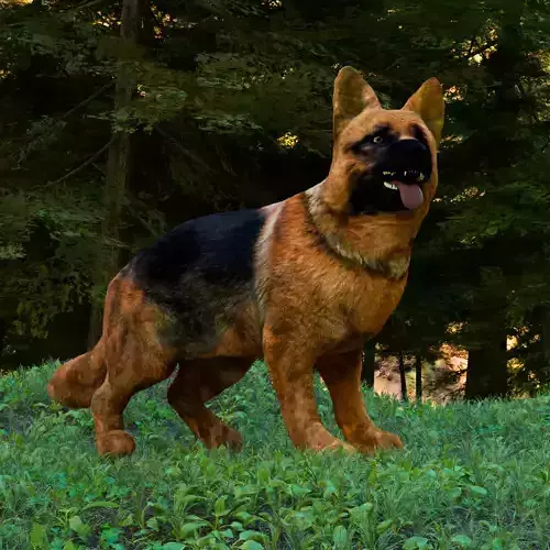 Realistic German Shepherd Dog Fully Rigged  Low-poly 3D model