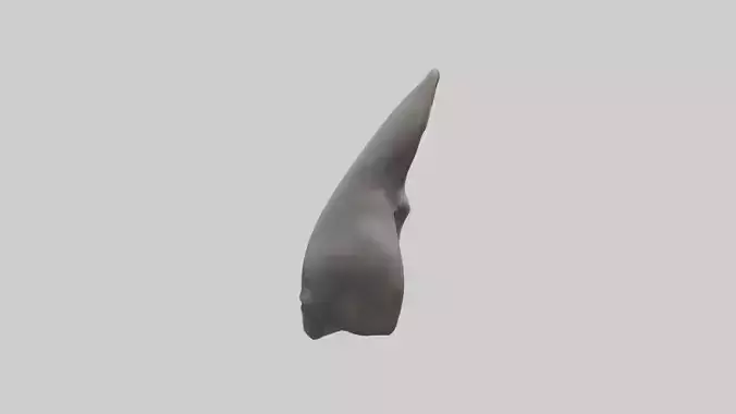 Rhinoceros Ears Model Low-poly 3D model