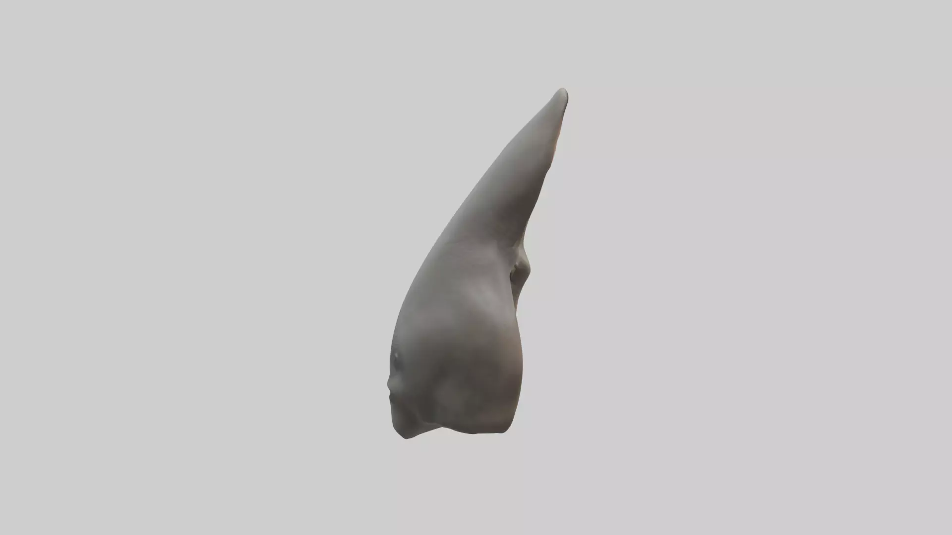 Rhinoceros Ears Model Low-poly 3D model_0