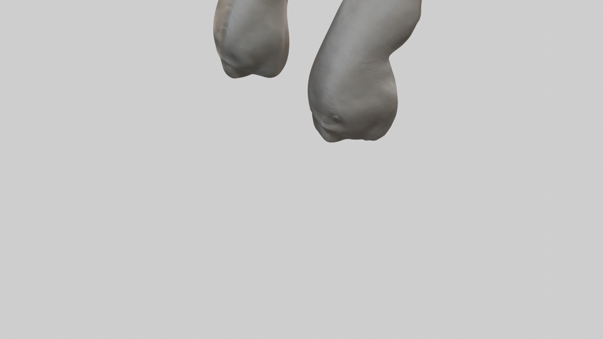 Rhinoceros Ears Model Low-poly 3D model_3