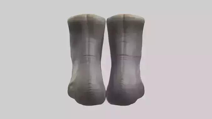 Rhinoceros Hooves Model