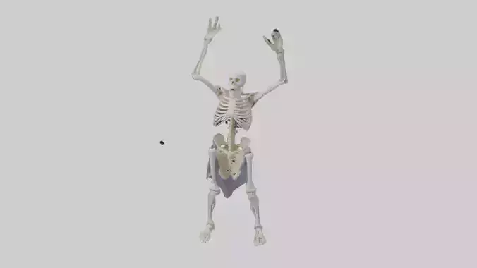 Risen skeleton model Low-poly 3D model