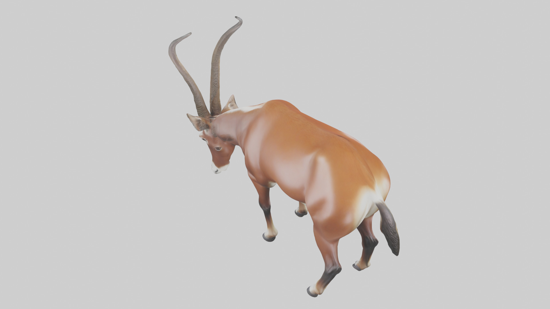 Roan Antelope grazing model Low-poly 3D model_15