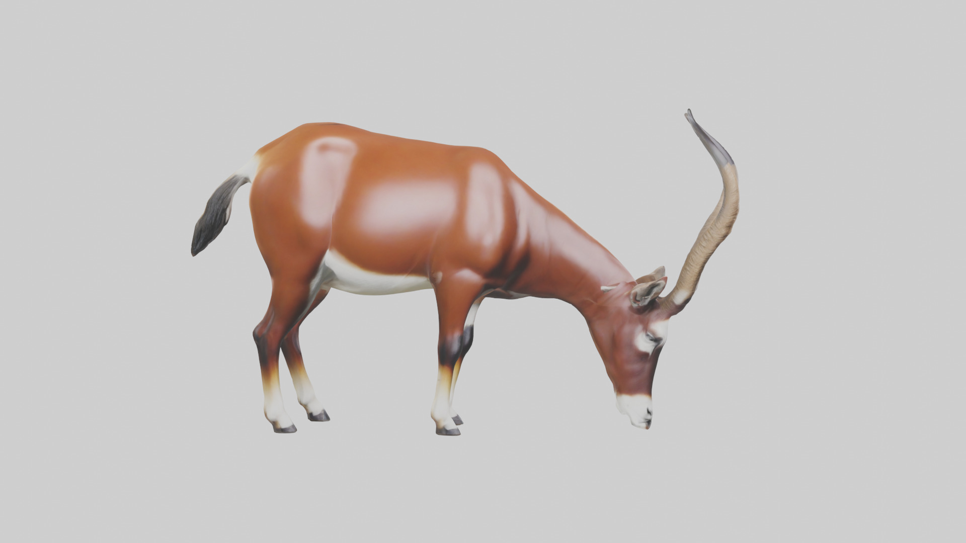 Roan Antelope grazing model Low-poly 3D model_7