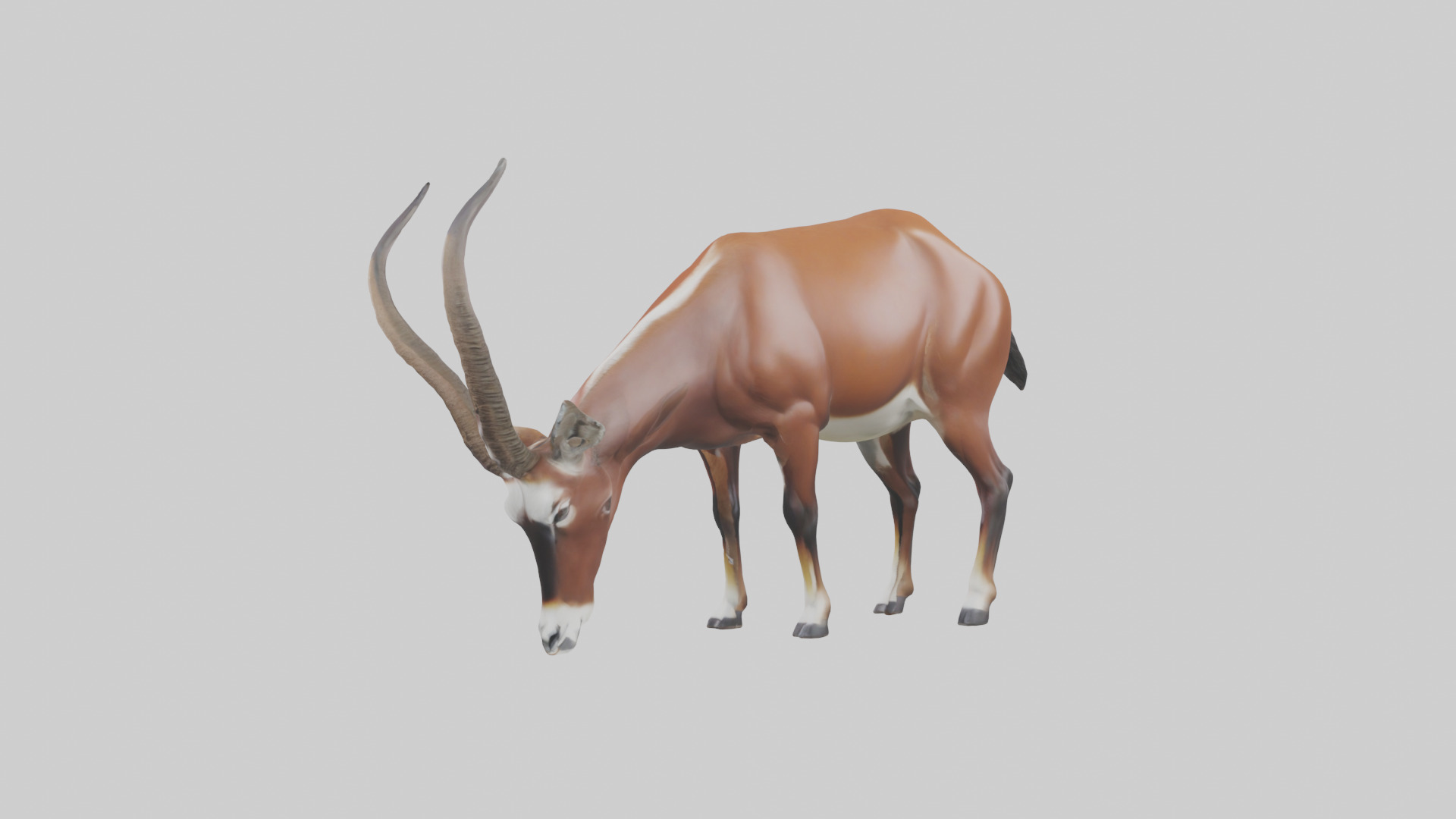 Roan Antelope grazing model Low-poly 3D model_12