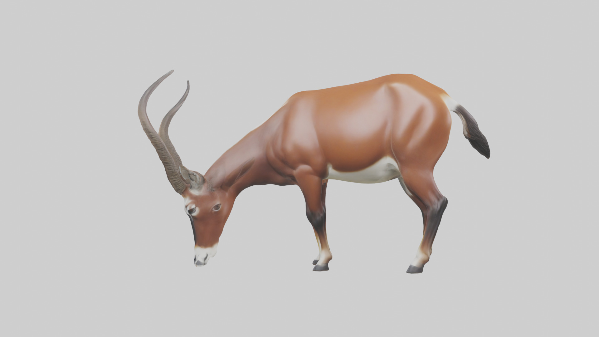 Roan Antelope grazing model Low-poly 3D model_1