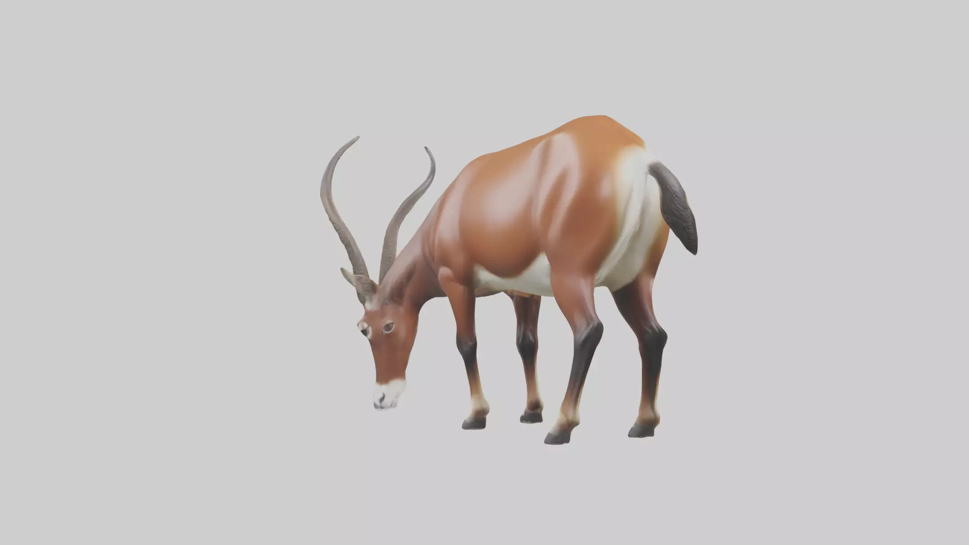 Roan Antelope grazing model Low-poly 3D model_0