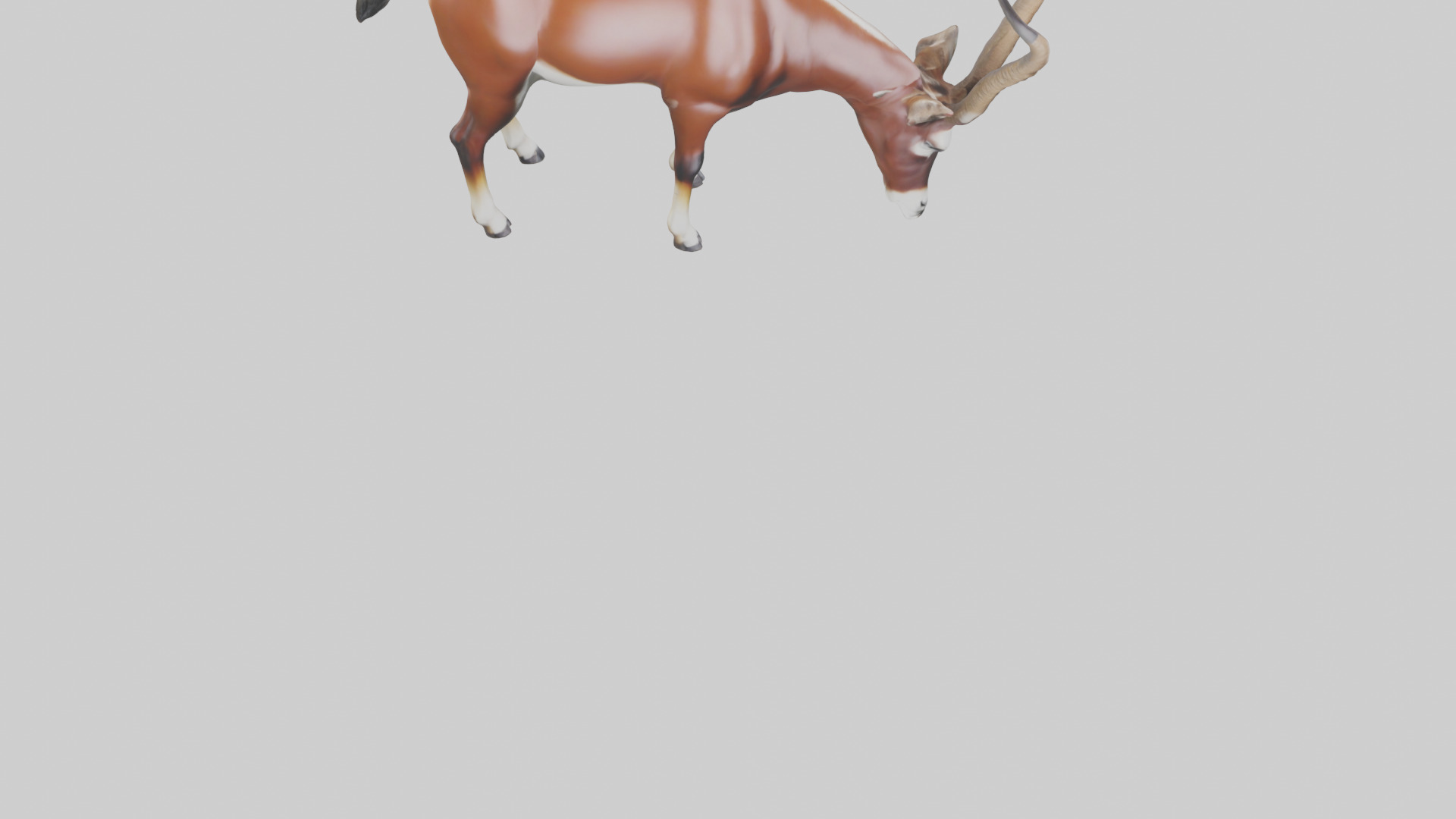 Roan Antelope grazing model Low-poly 3D model_6