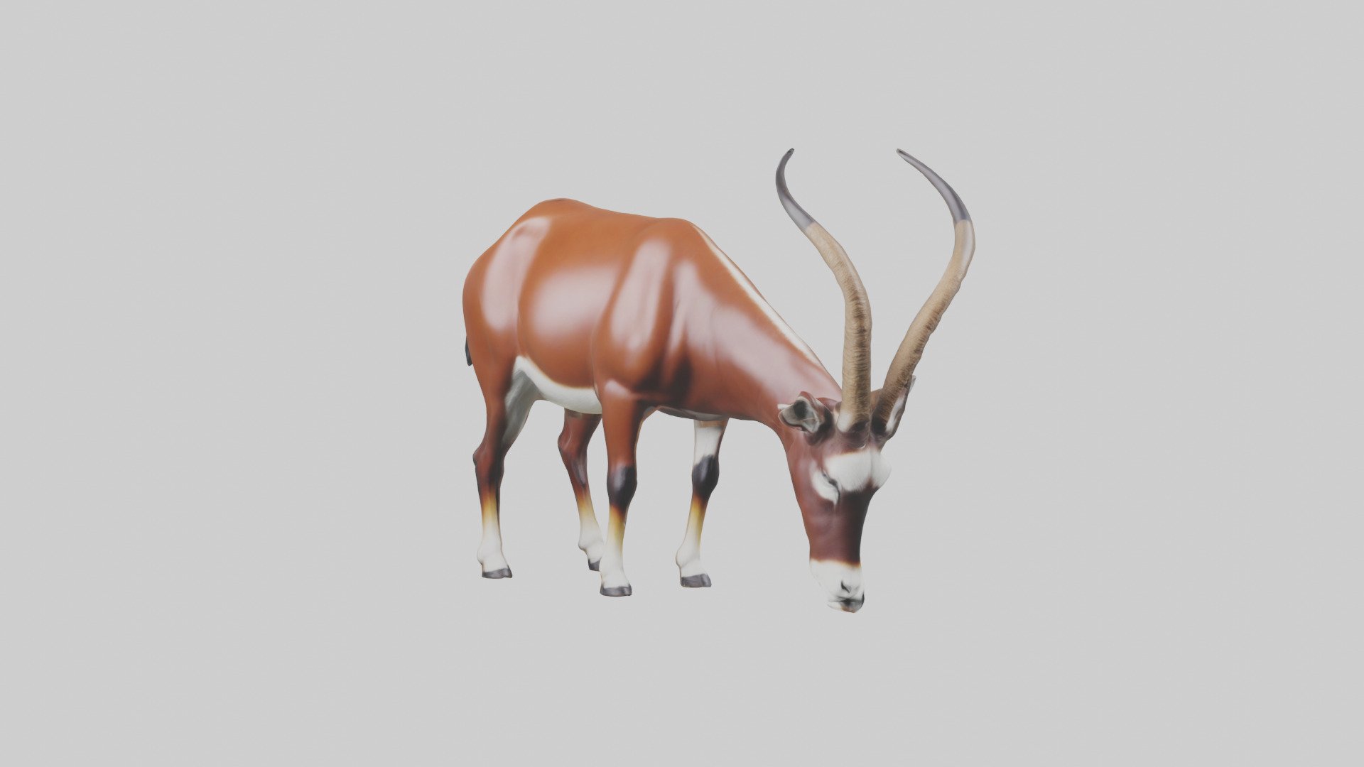 Roan Antelope grazing model Low-poly 3D model_9