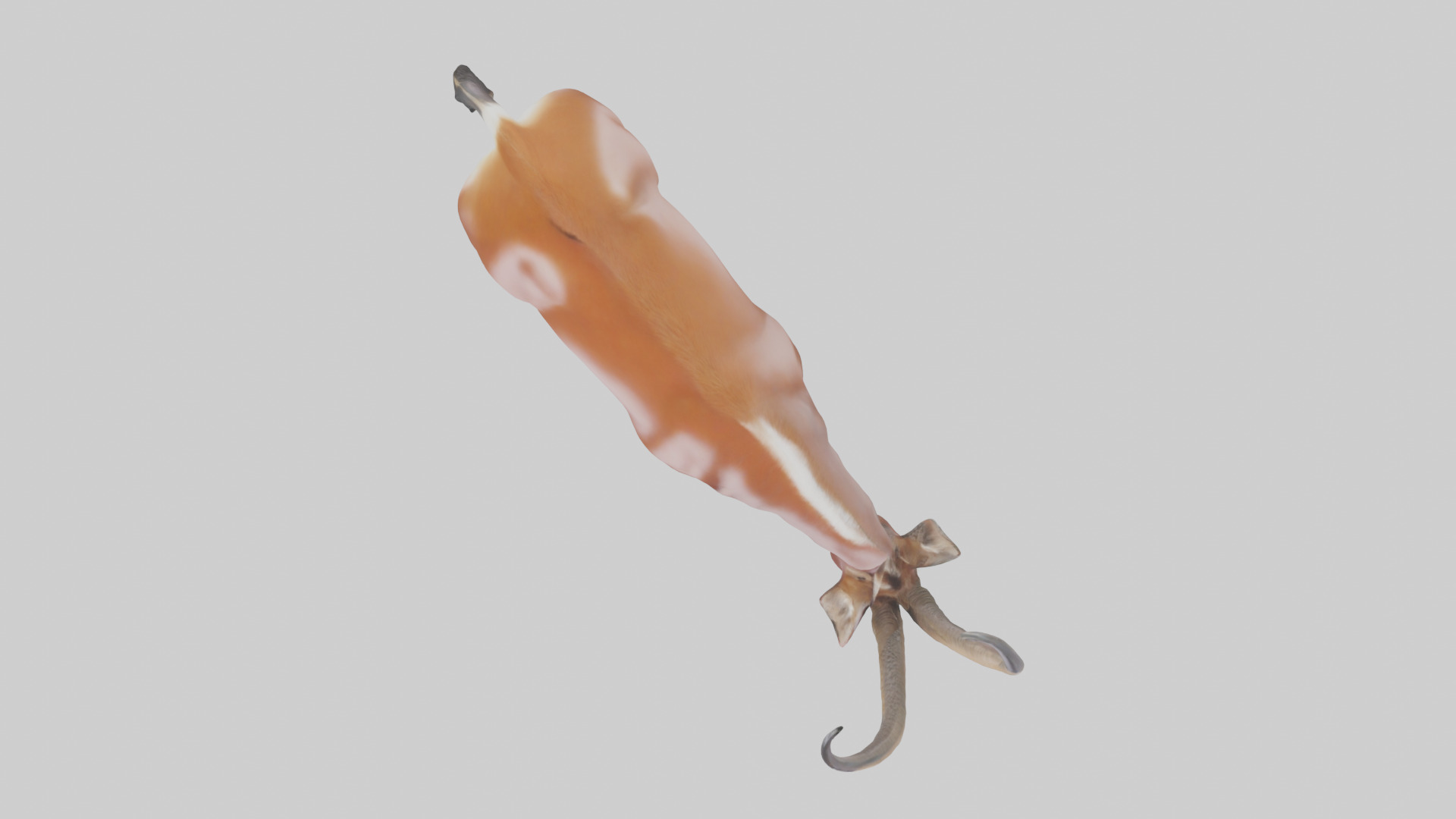 Roan Antelope grazing model Low-poly 3D model_14