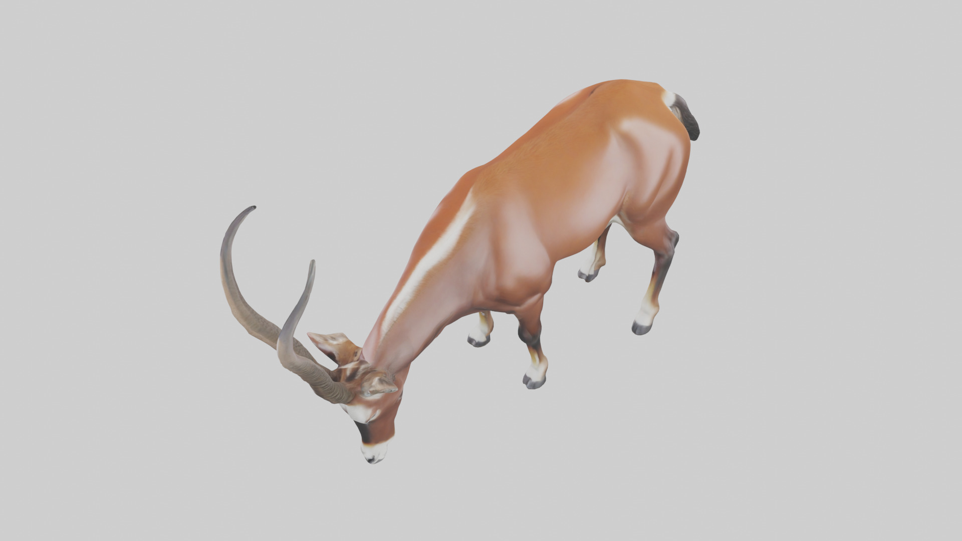 Roan Antelope grazing model Low-poly 3D model_17