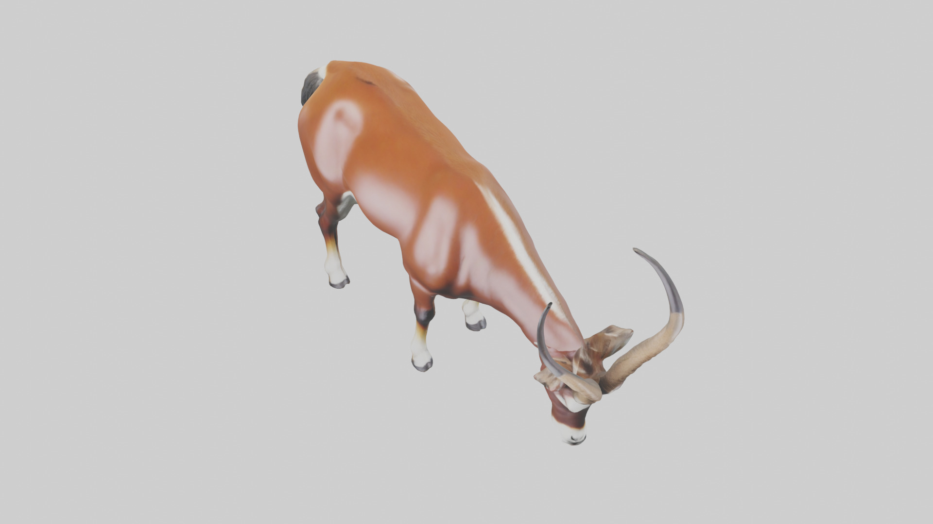 Roan Antelope grazing model Low-poly 3D model_16