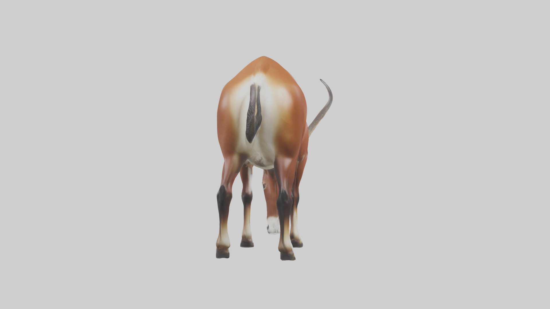 Roan Antelope grazing model Low-poly 3D model_2
