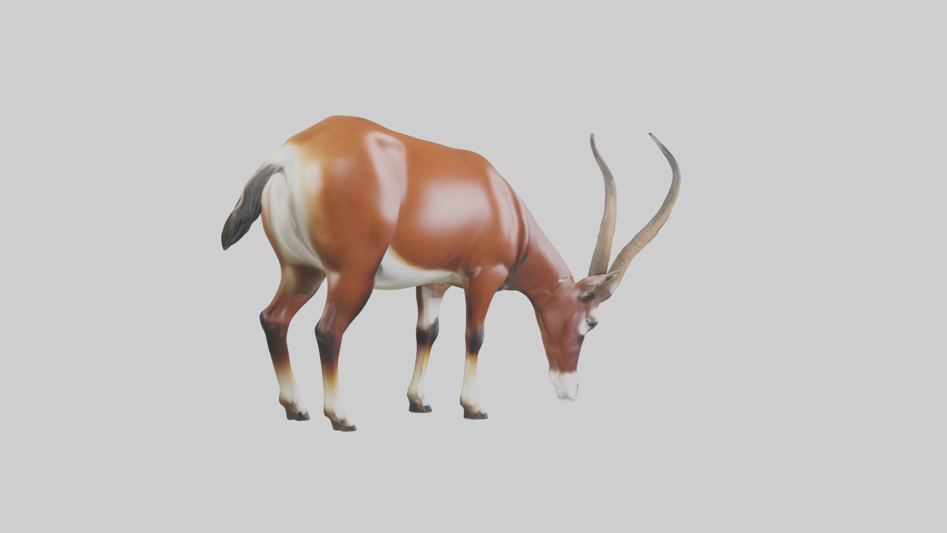 Roan Antelope grazing model Low-poly 3D model_13