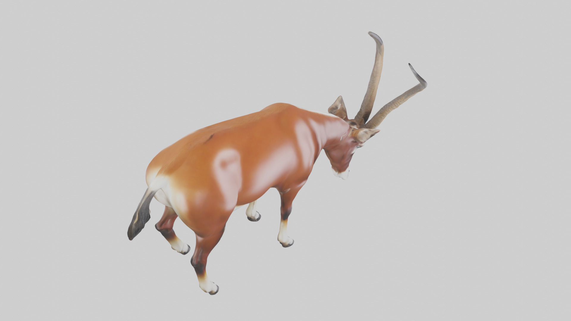 Roan Antelope grazing model Low-poly 3D model_18