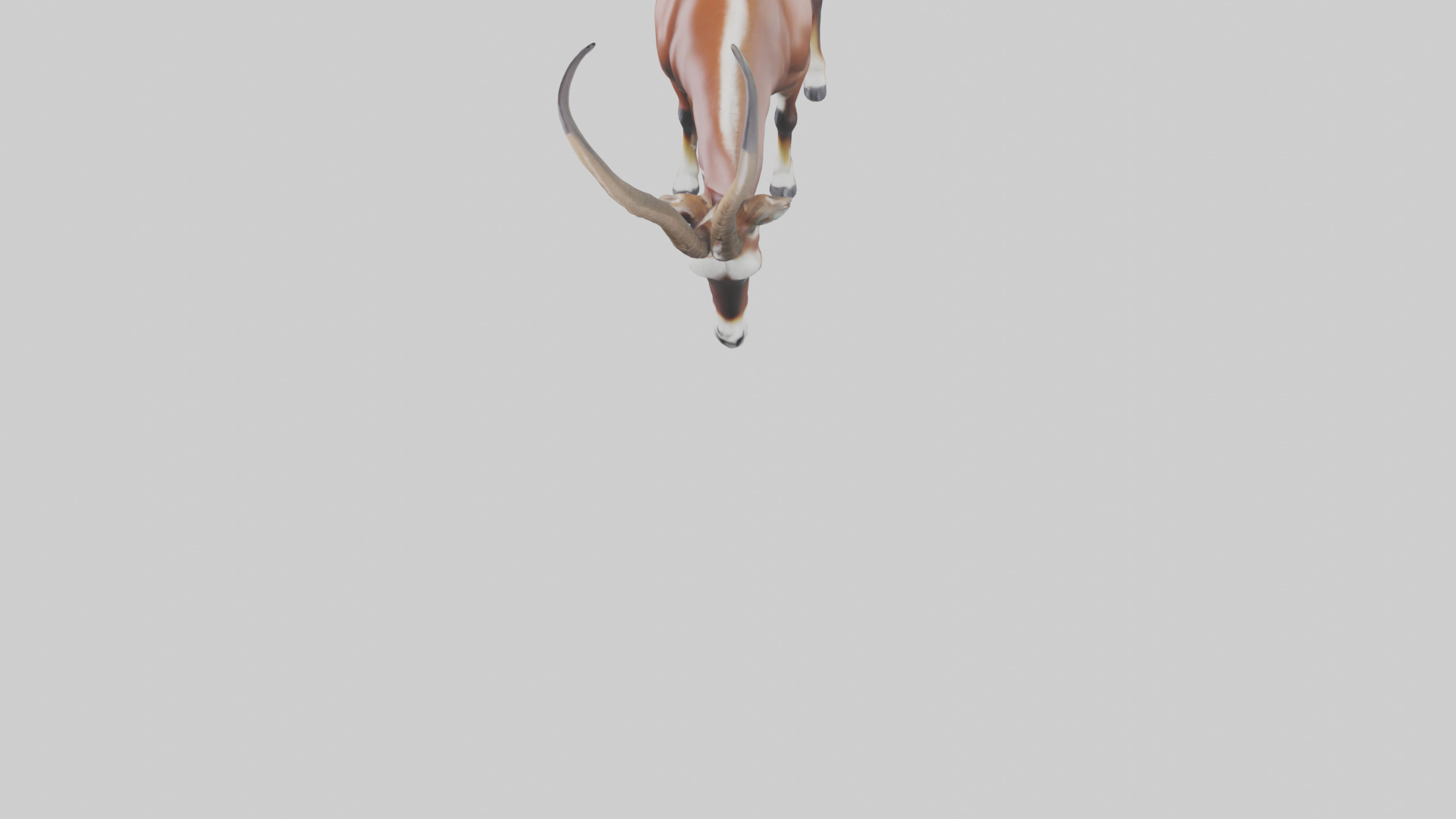 Roan Antelope grazing model Low-poly 3D model_5