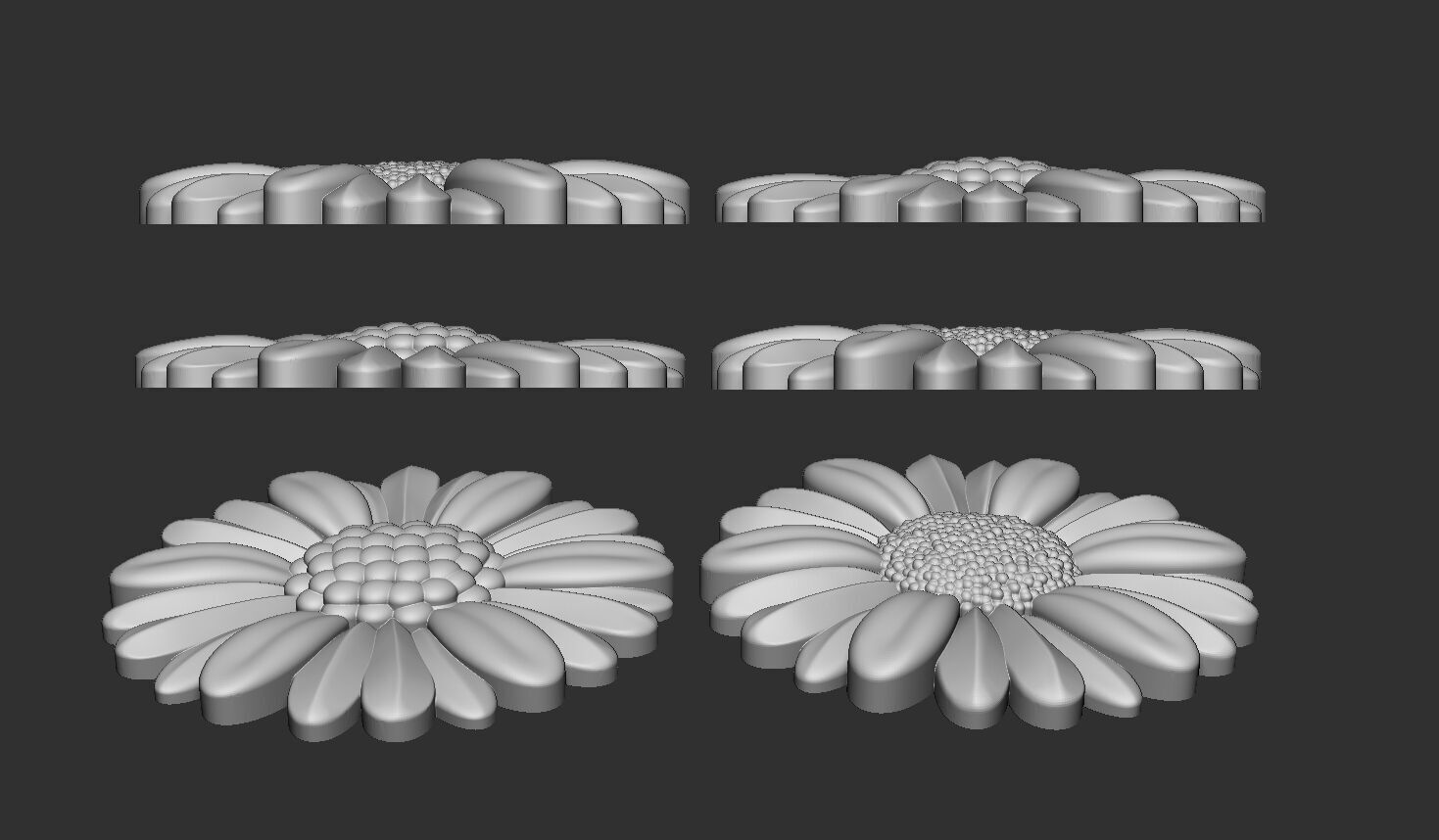 Daisy flowers bas relief 3D model 3D printable | CGTrader