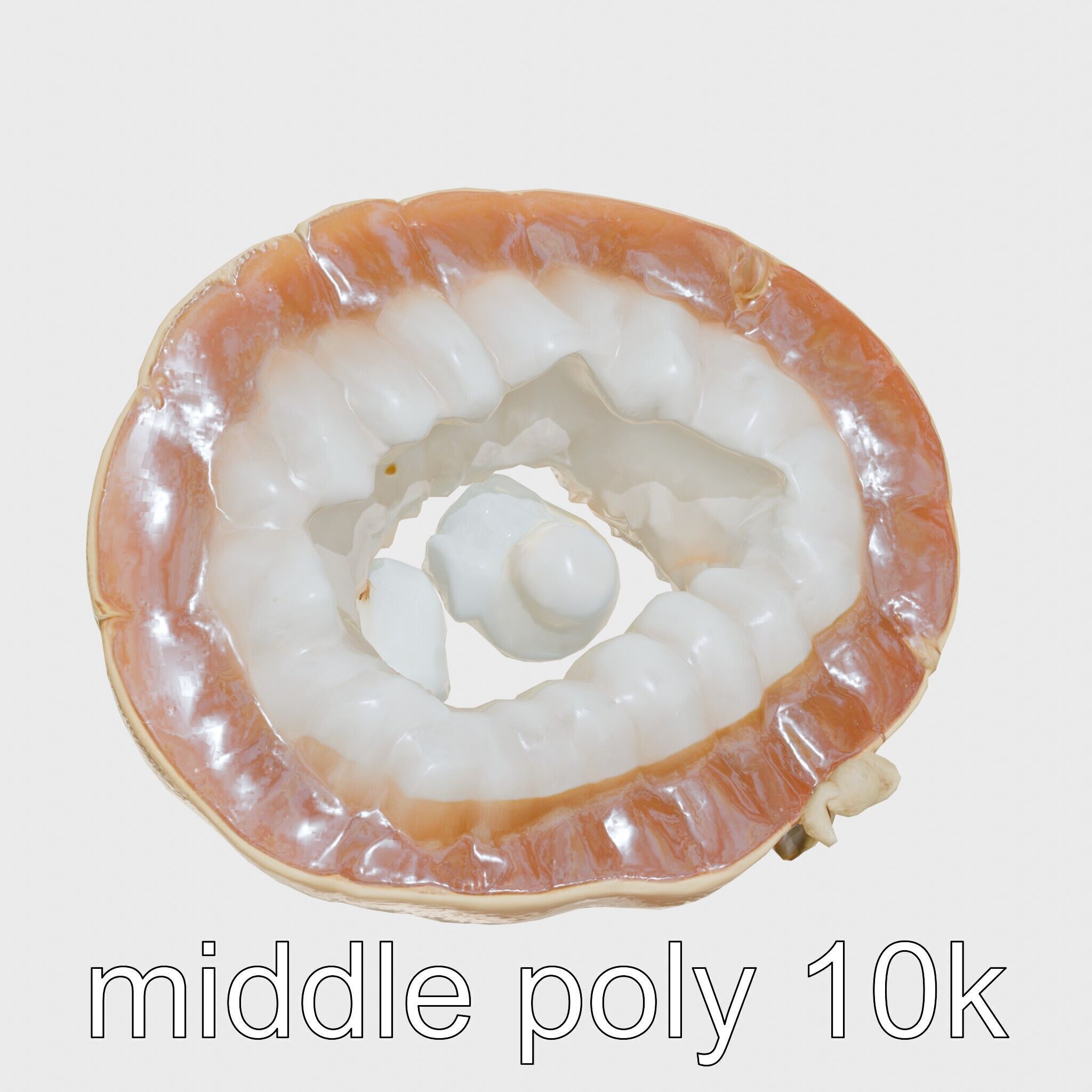 Crystal Geode Polished Cut Interior Model Low-poly 3D model_12