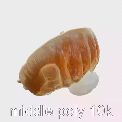 Crystal Geode Polished Cut Interior Model