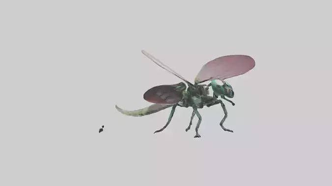 Robot version of a dragonfly model