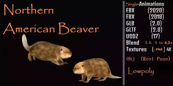 North American Beaver Low-poly 3D model
