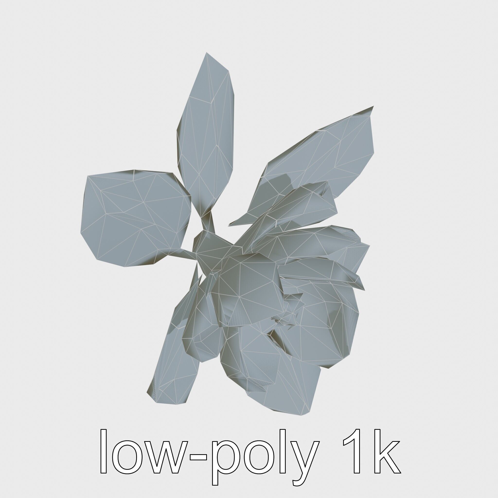 Photorealistic Begonia Flower with Leaves 3D Model Low-poly 3D model_25
