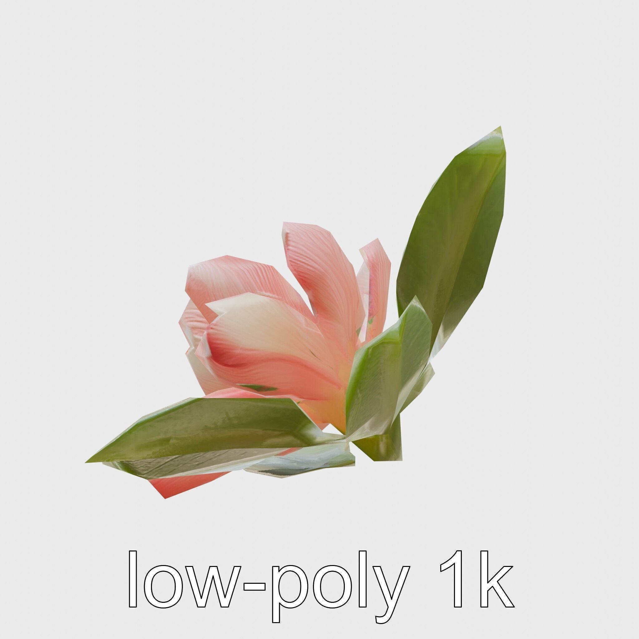 Photorealistic Begonia Flower with Leaves 3D Model Low-poly 3D model_7