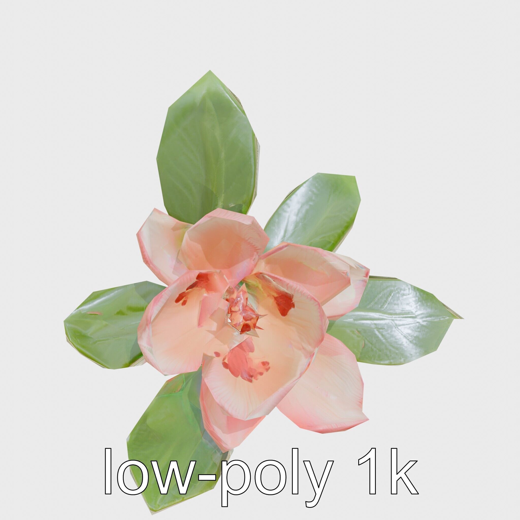 Photorealistic Begonia Flower with Leaves 3D Model Low-poly 3D model_13