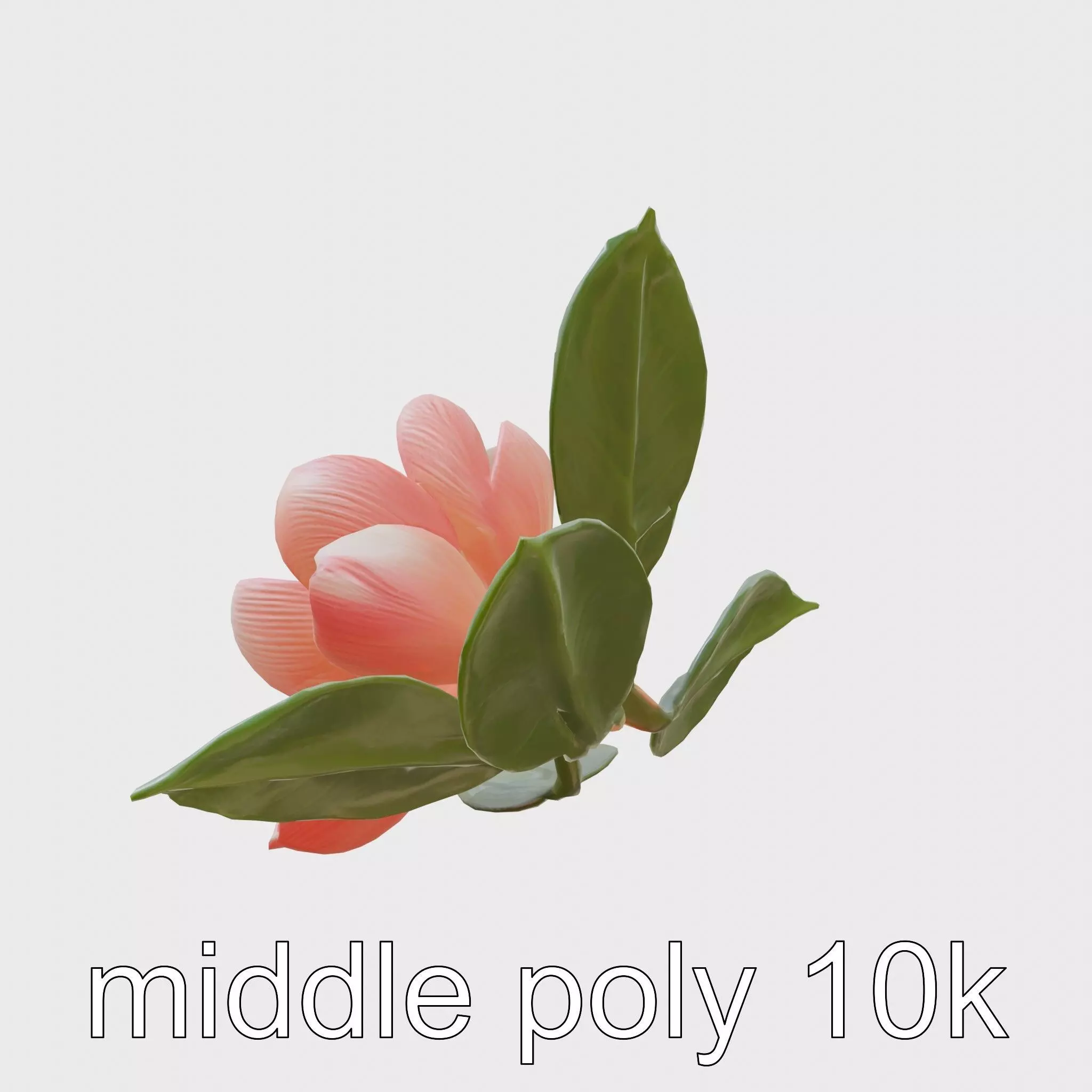 Photorealistic Begonia Flower with Leaves 3D Model Low-poly 3D model_0