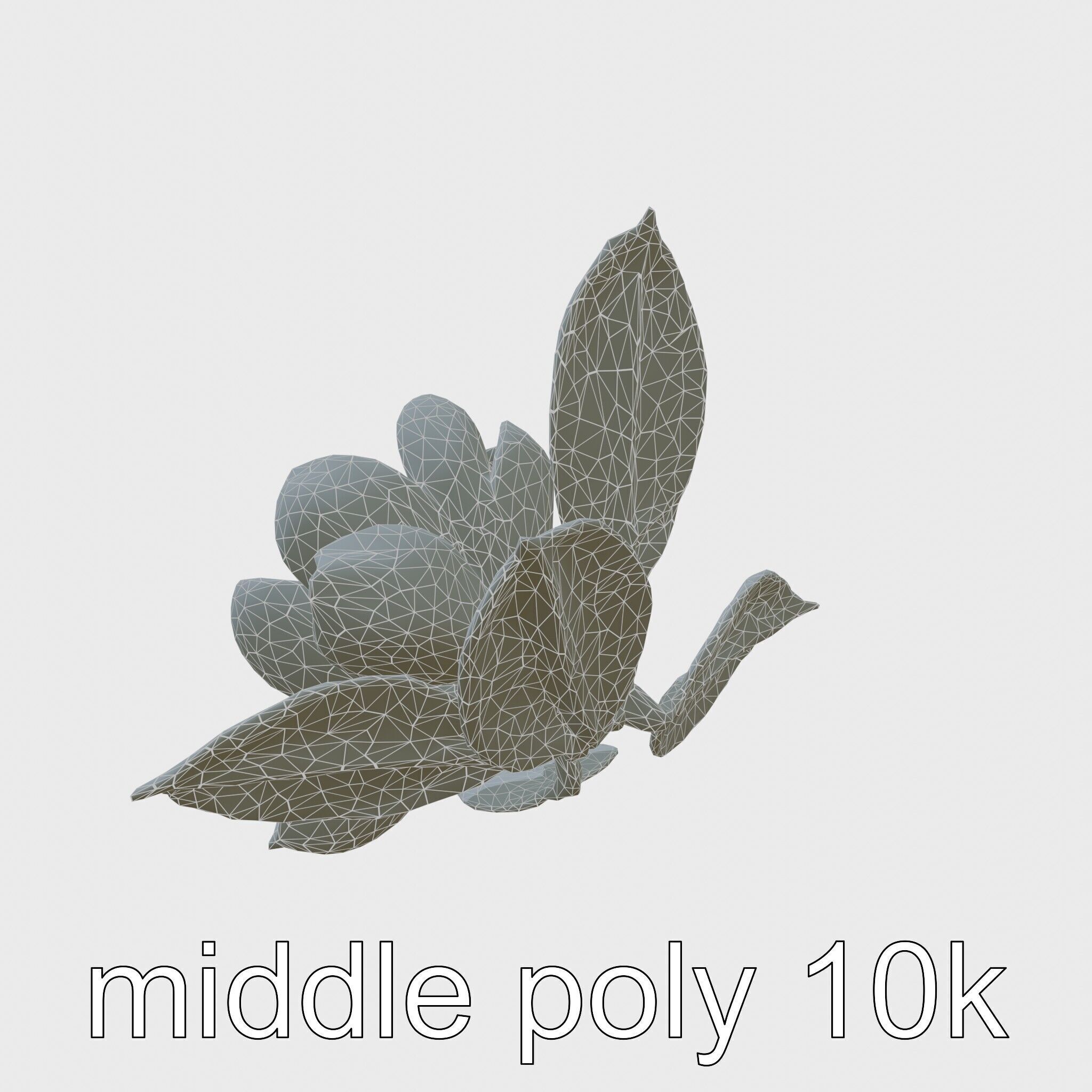 Photorealistic Begonia Flower with Leaves 3D Model Low-poly 3D model_9