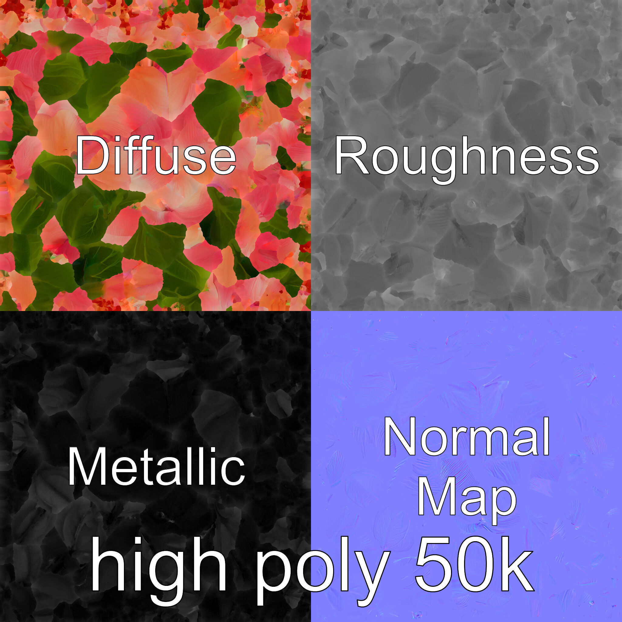 Photorealistic Begonia Flower with Leaves 3D Model Low-poly 3D model_33