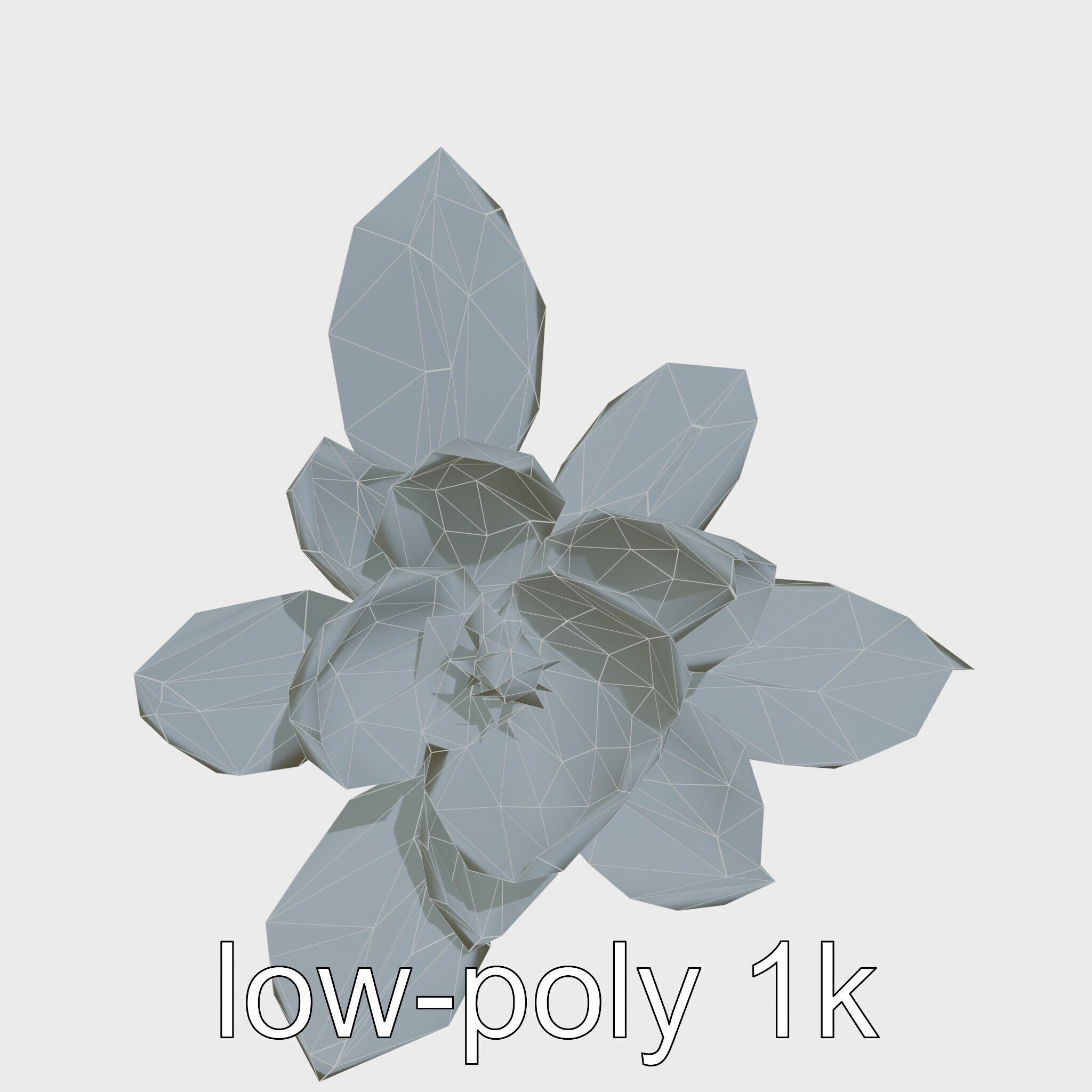 Photorealistic Begonia Flower with Leaves 3D Model Low-poly 3D model_18