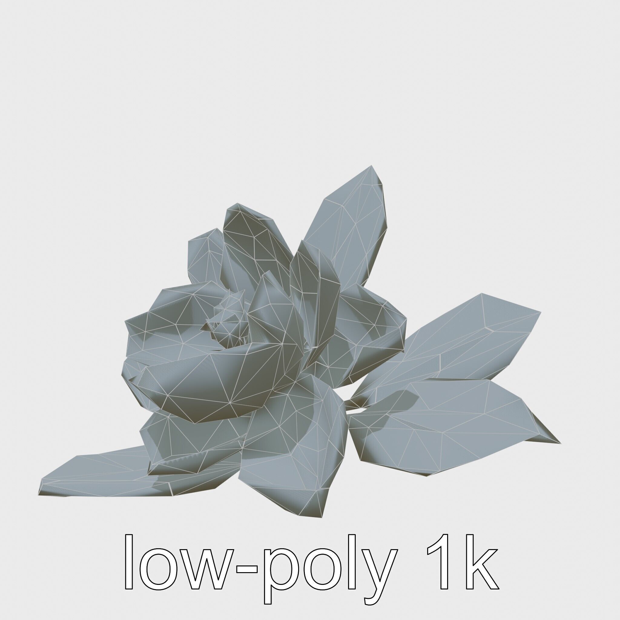 Photorealistic Begonia Flower with Leaves 3D Model Low-poly 3D model_17