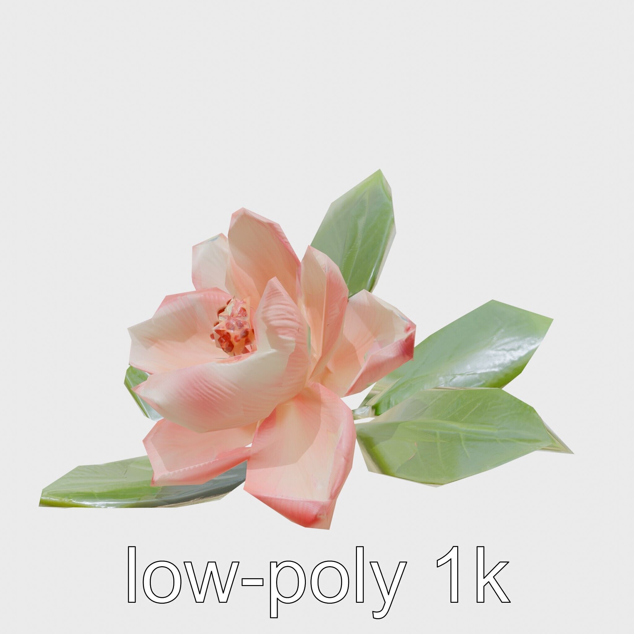Photorealistic Begonia Flower with Leaves 3D Model Low-poly 3D model_29