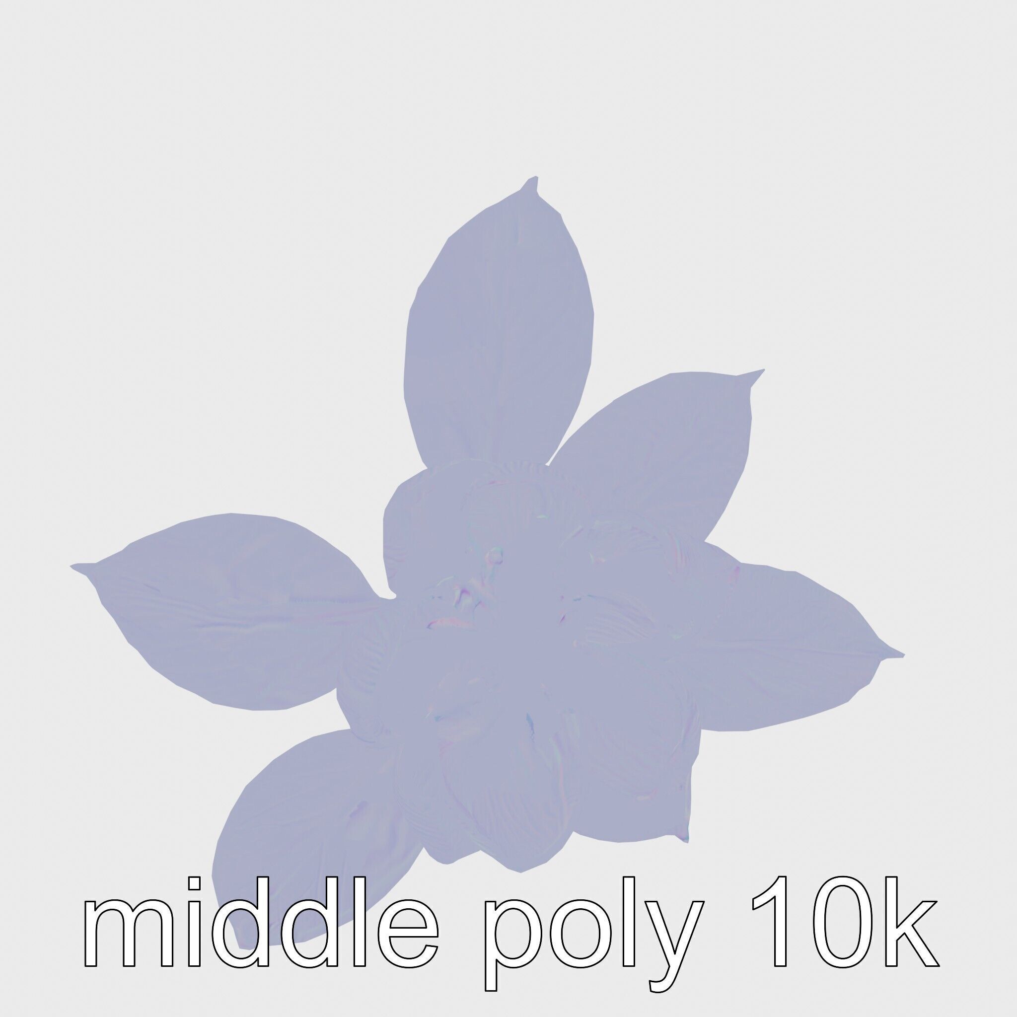 Photorealistic Begonia Flower with Leaves 3D Model Low-poly 3D model_16