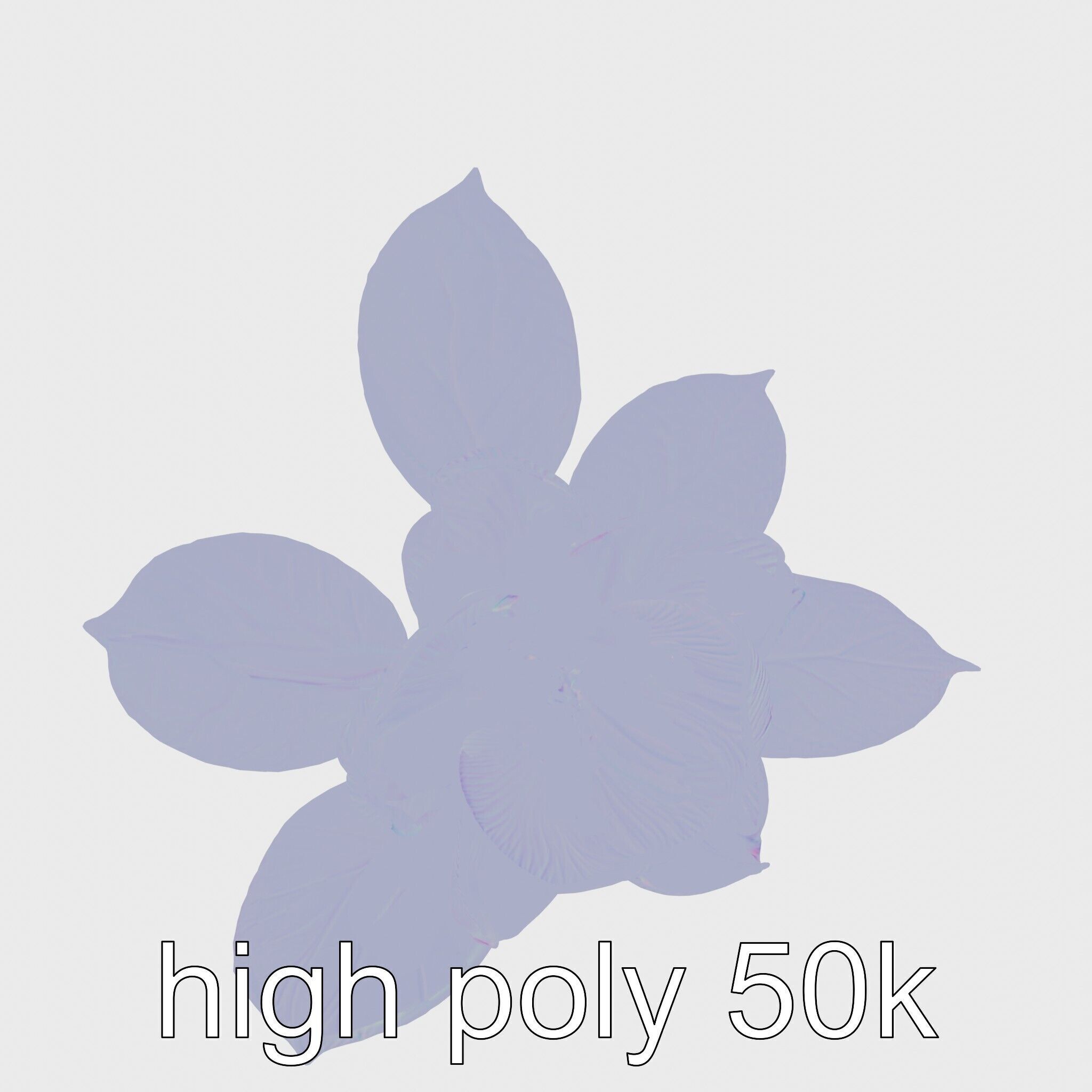 Photorealistic Begonia Flower with Leaves 3D Model Low-poly 3D model_22