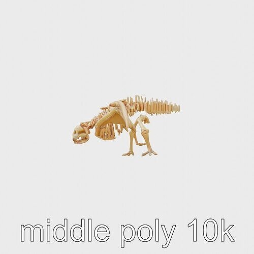 Realistic Bat Skeleton Anatomical Model Low-poly 3D model