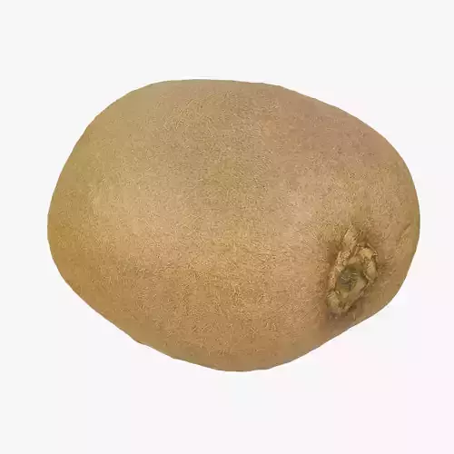 Kiwi Fruit 3D model