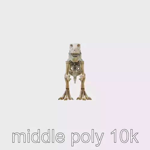 Tyrannosaurus Rex Skeleton Detailed Modeling